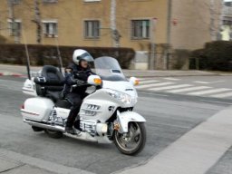 2012 &raquo; Novoletno srečanje - 1.1.12